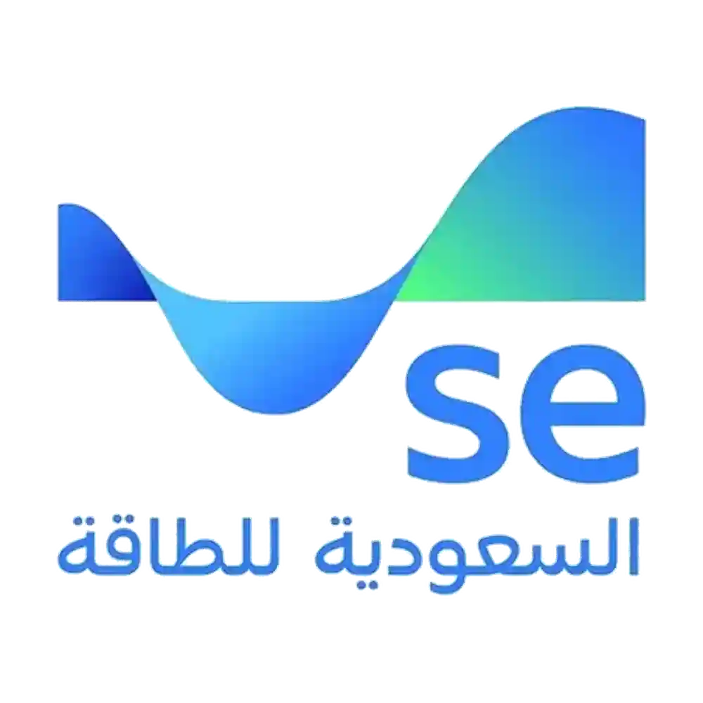 Partner 3